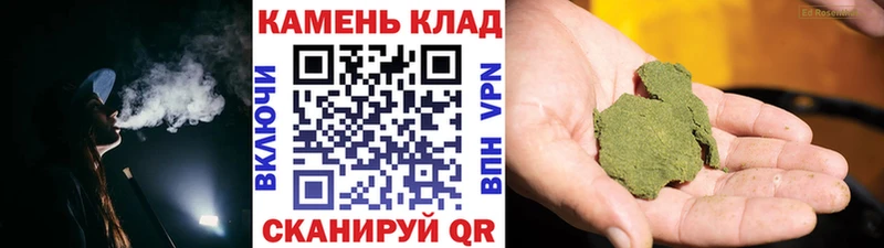 ГАШ Premium Игра
