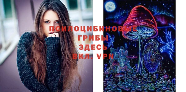 молекула духа Горнозаводск