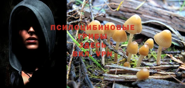 герыч Горняк
