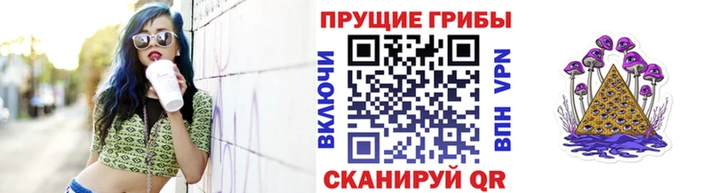 Галлюциногенные грибы Cubensis Игра